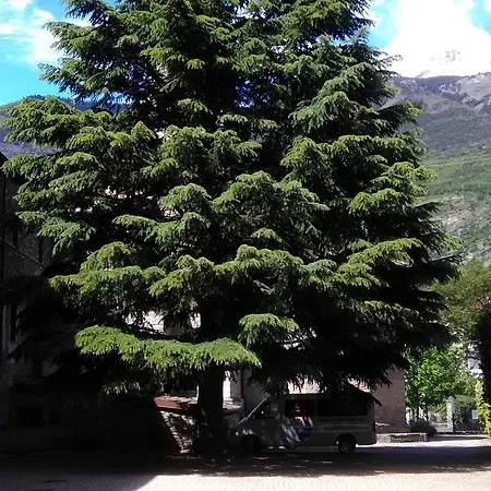 Casa Per Ferie San Francesco 招待所
